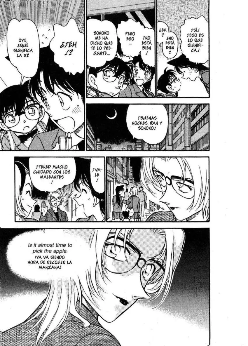 Detective Conan capítulo 340 página 14