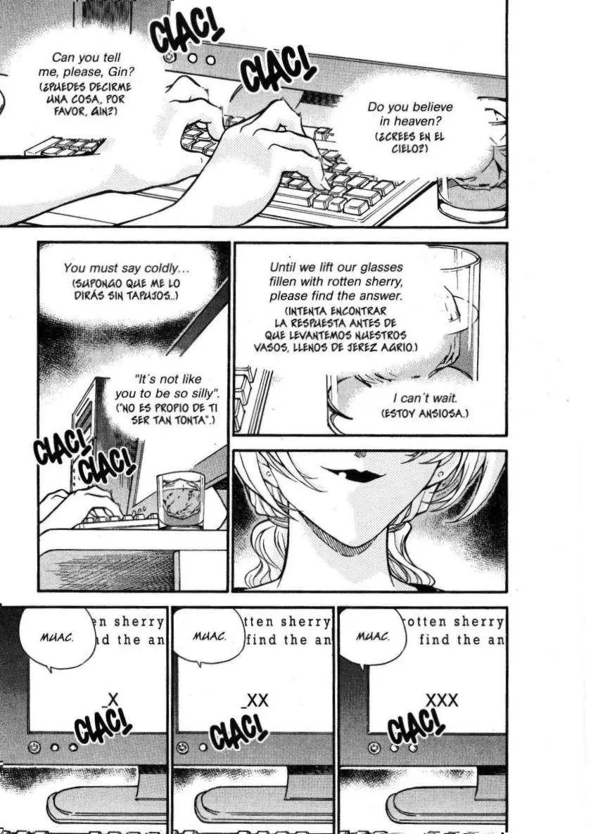 Detective Conan capítulo 340 página 16