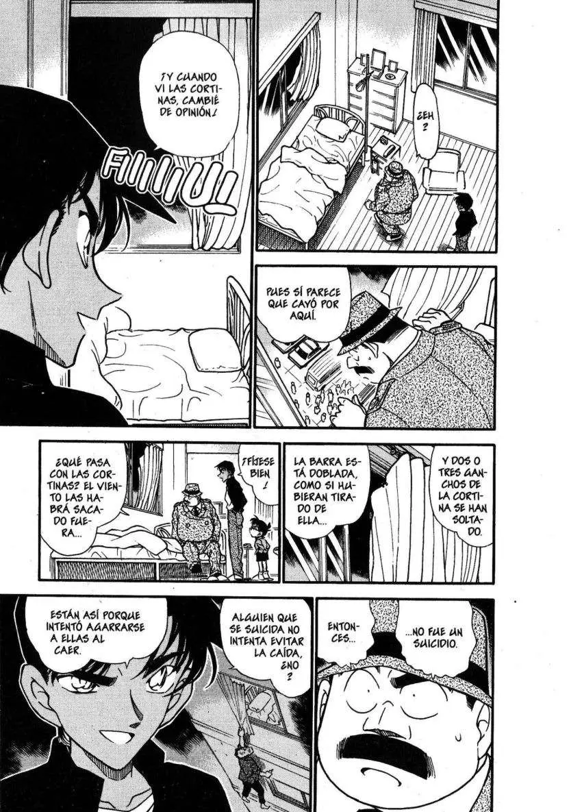 Detective Conan capítulo 342 página 10