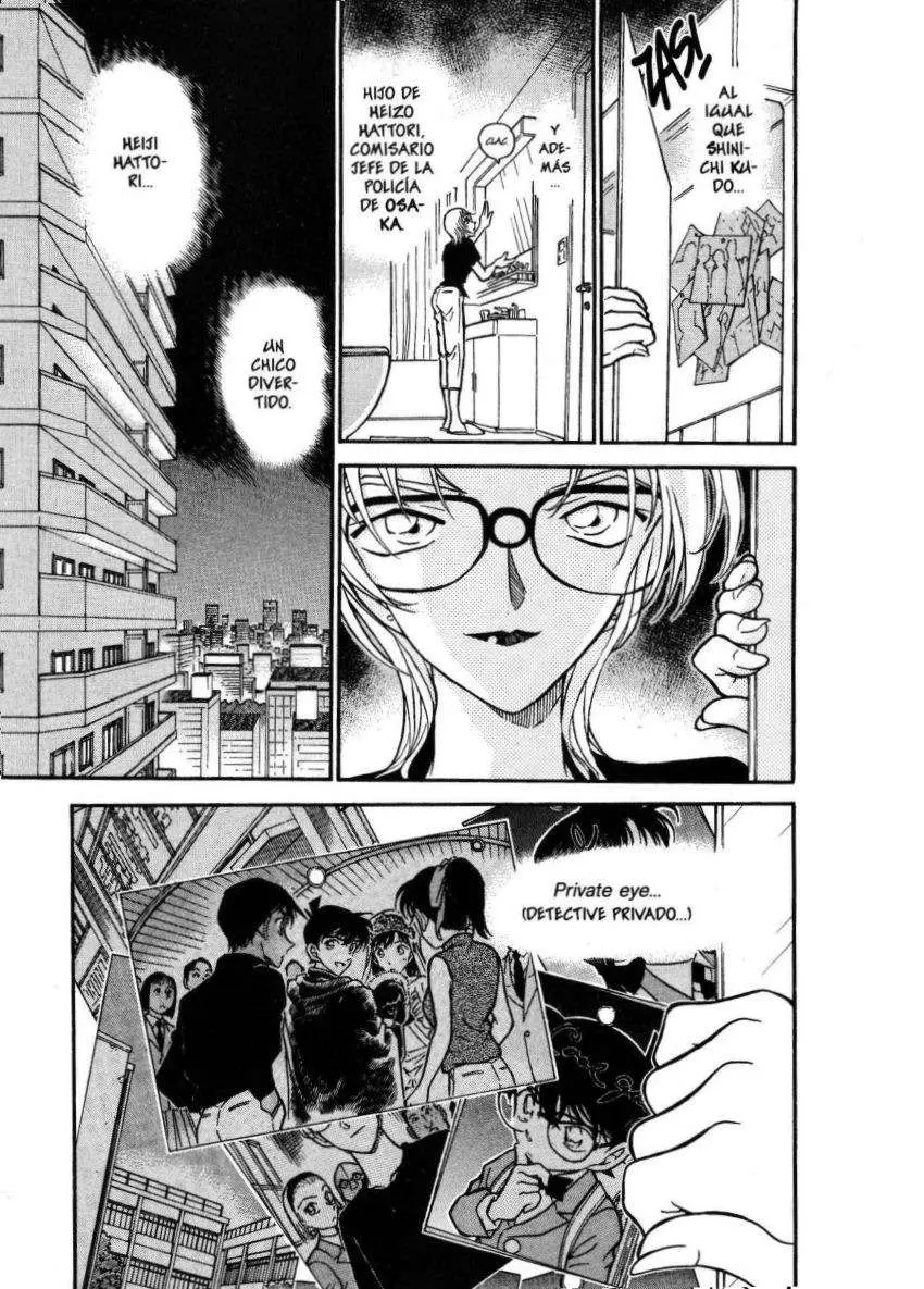 Detective Conan capítulo 343 página 18