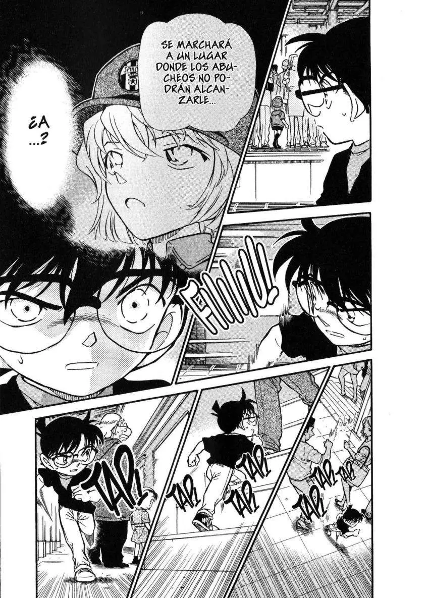 Detective Conan capítulo 346 página 14
