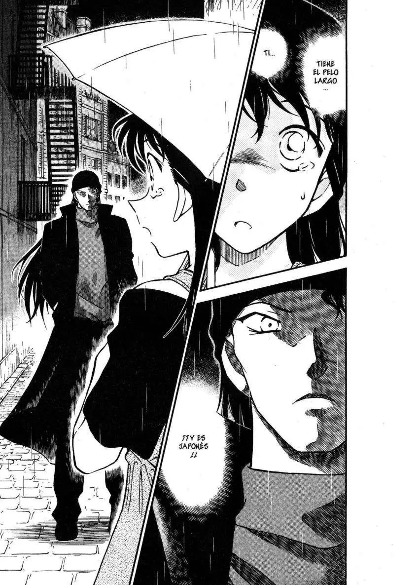 Detective Conan capítulo 353 página 16
