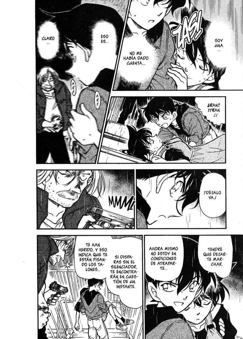 Detective Conan capítulo 354 página 13