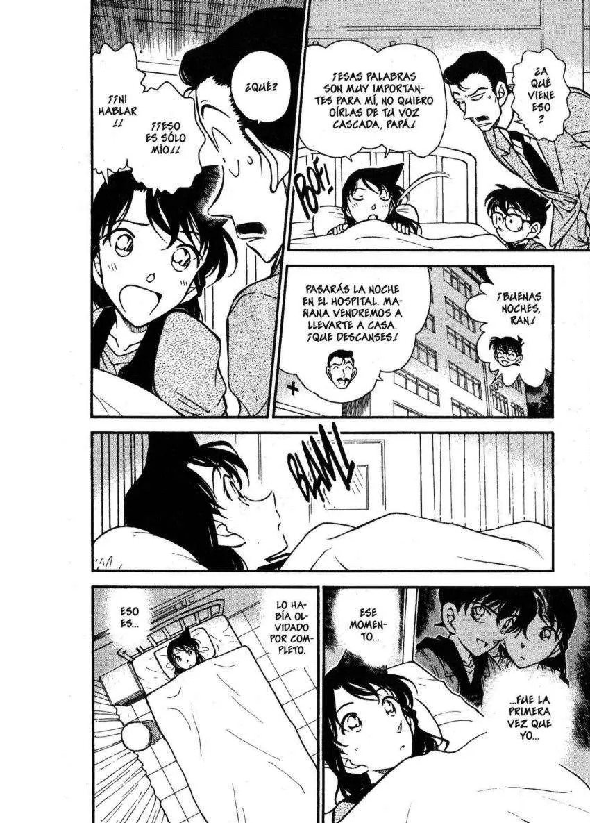 Detective Conan capítulo 354 página 17
