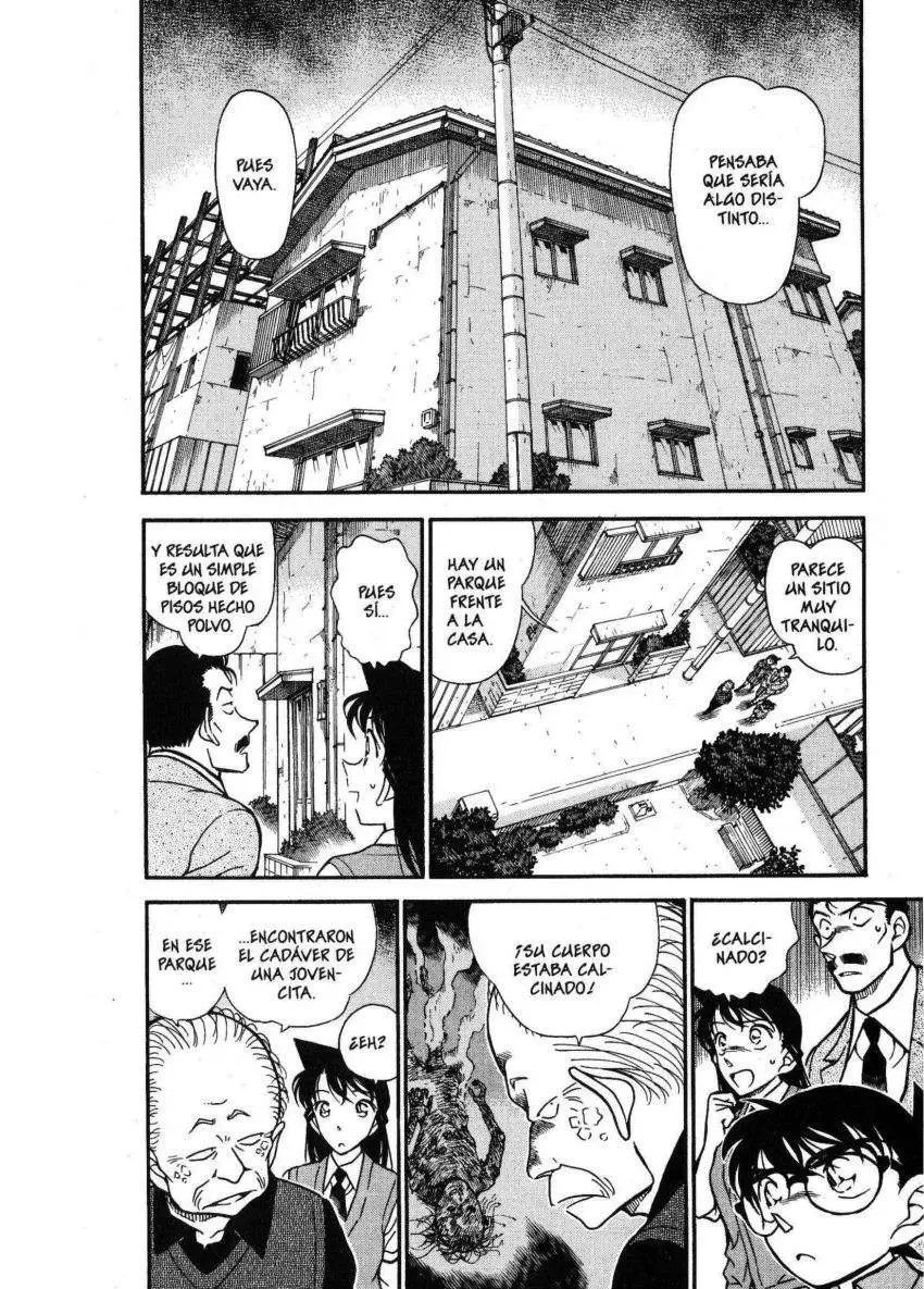Detective Conan capítulo 355 página 7