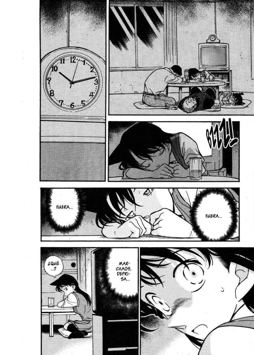 Detective Conan capítulo 355 página 13