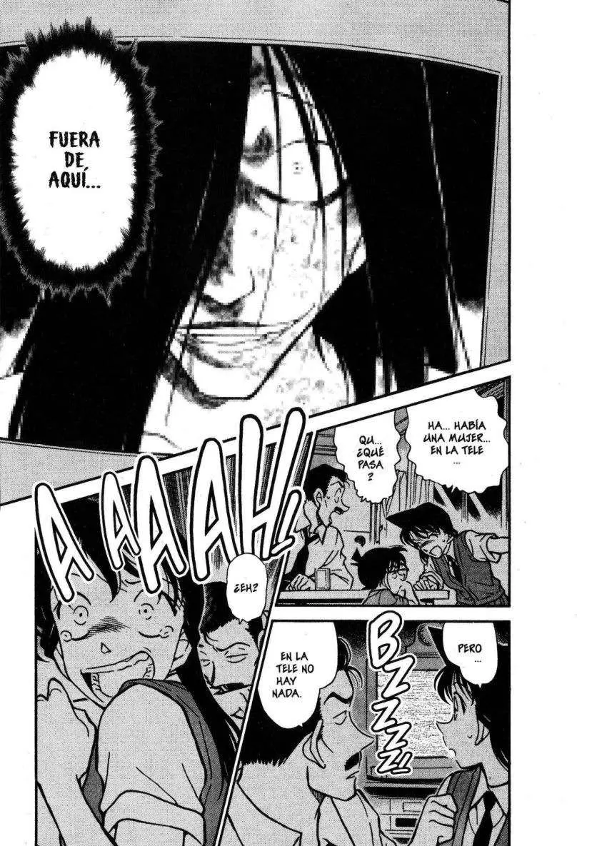 Detective Conan capítulo 355 página 14
