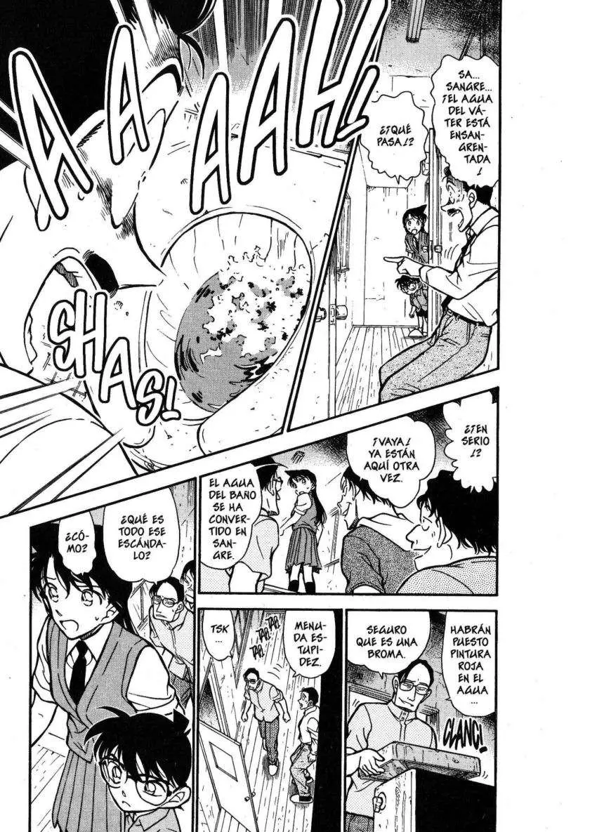 Detective Conan capítulo 355 página 16