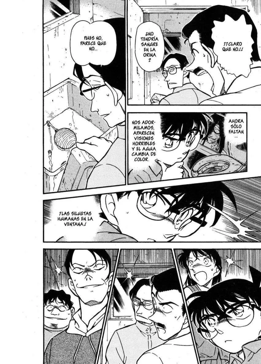 Detective Conan capítulo 355 página 17