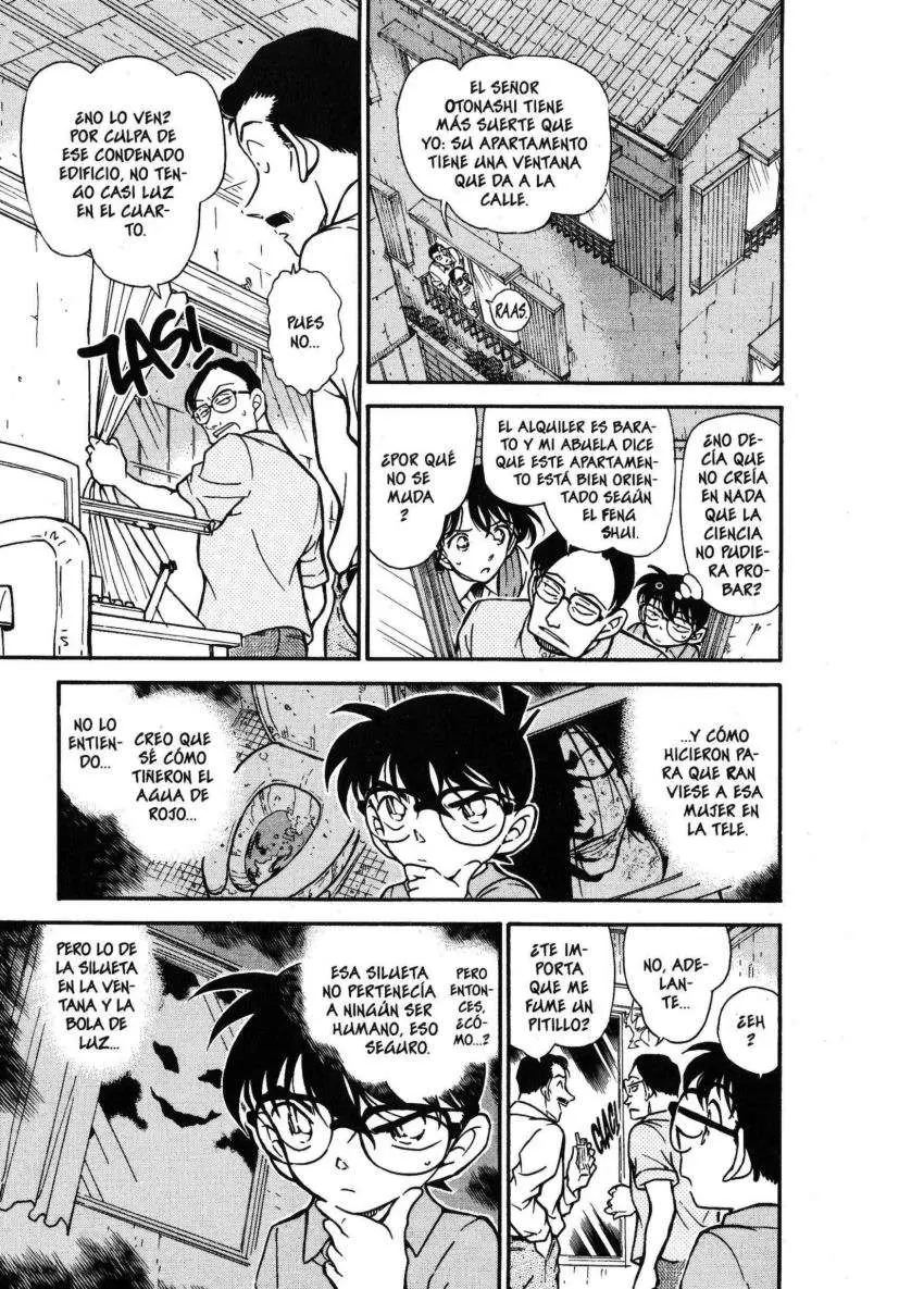 Detective Conan capítulo 356 página 14
