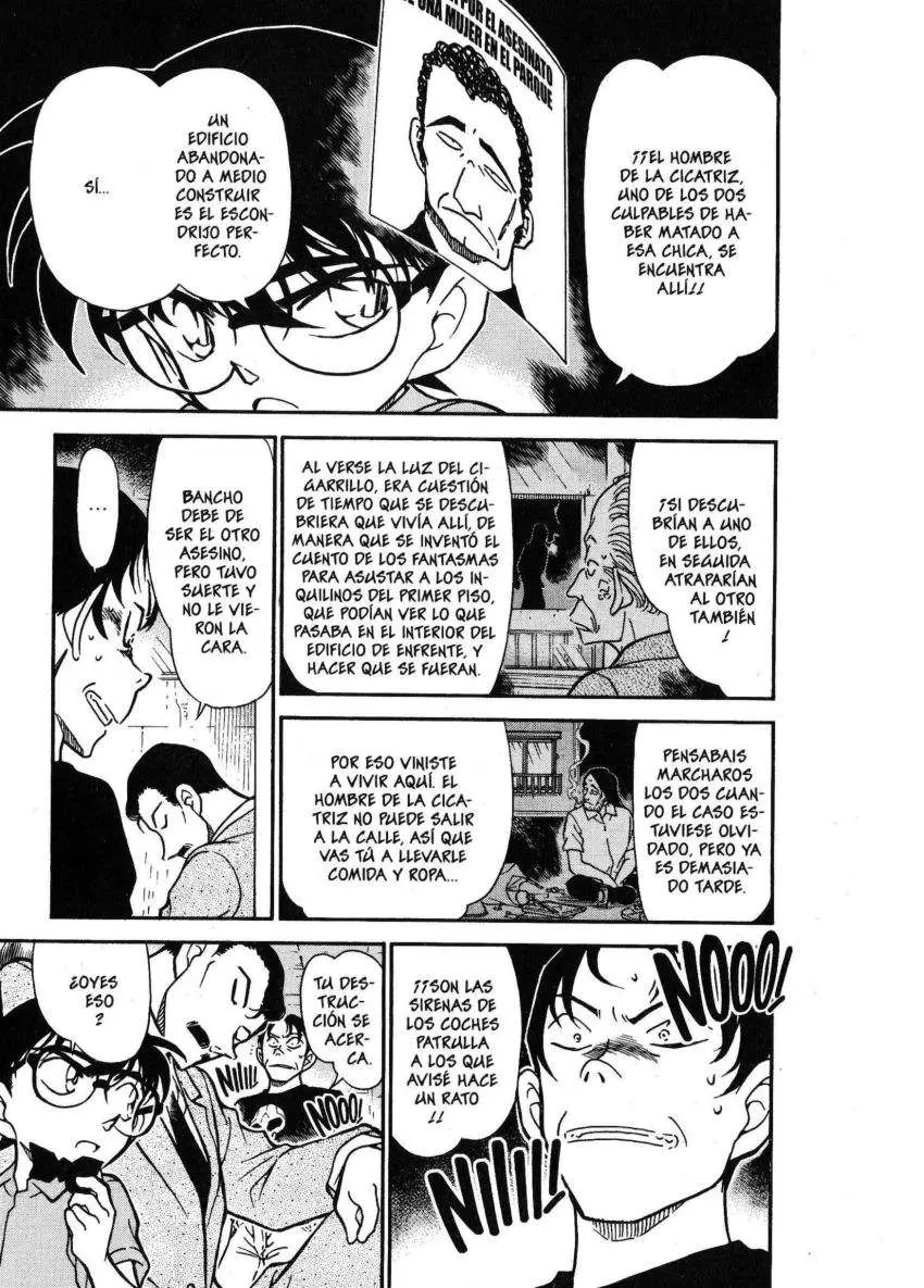 Detective Conan capítulo 357 página 14