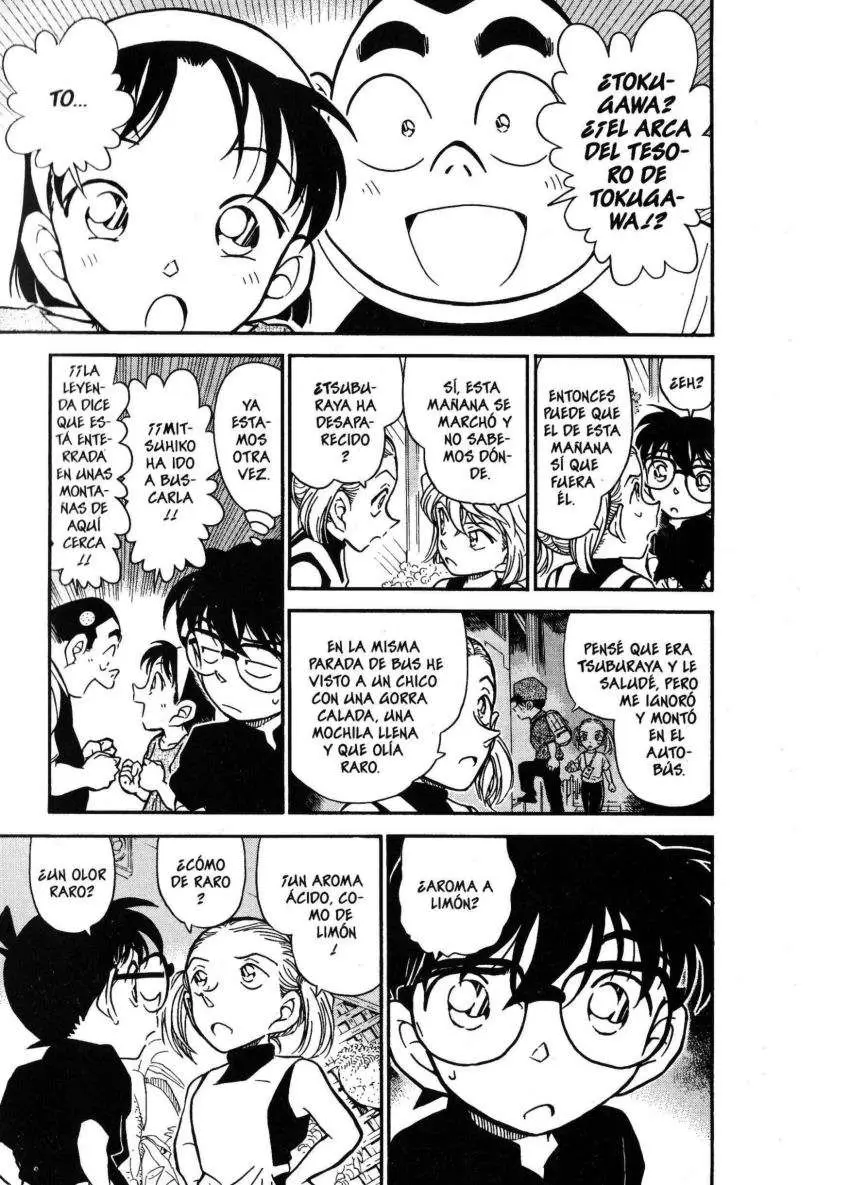 Detective Conan capítulo 358 página 10