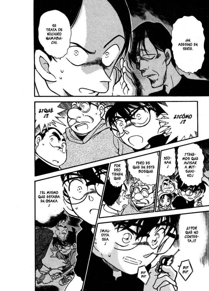 Detective Conan capítulo 358 página 17