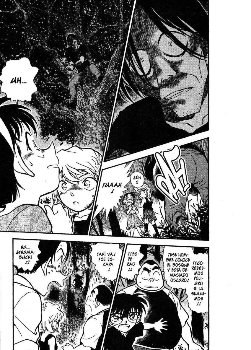Detective Conan capítulo 359 página 12