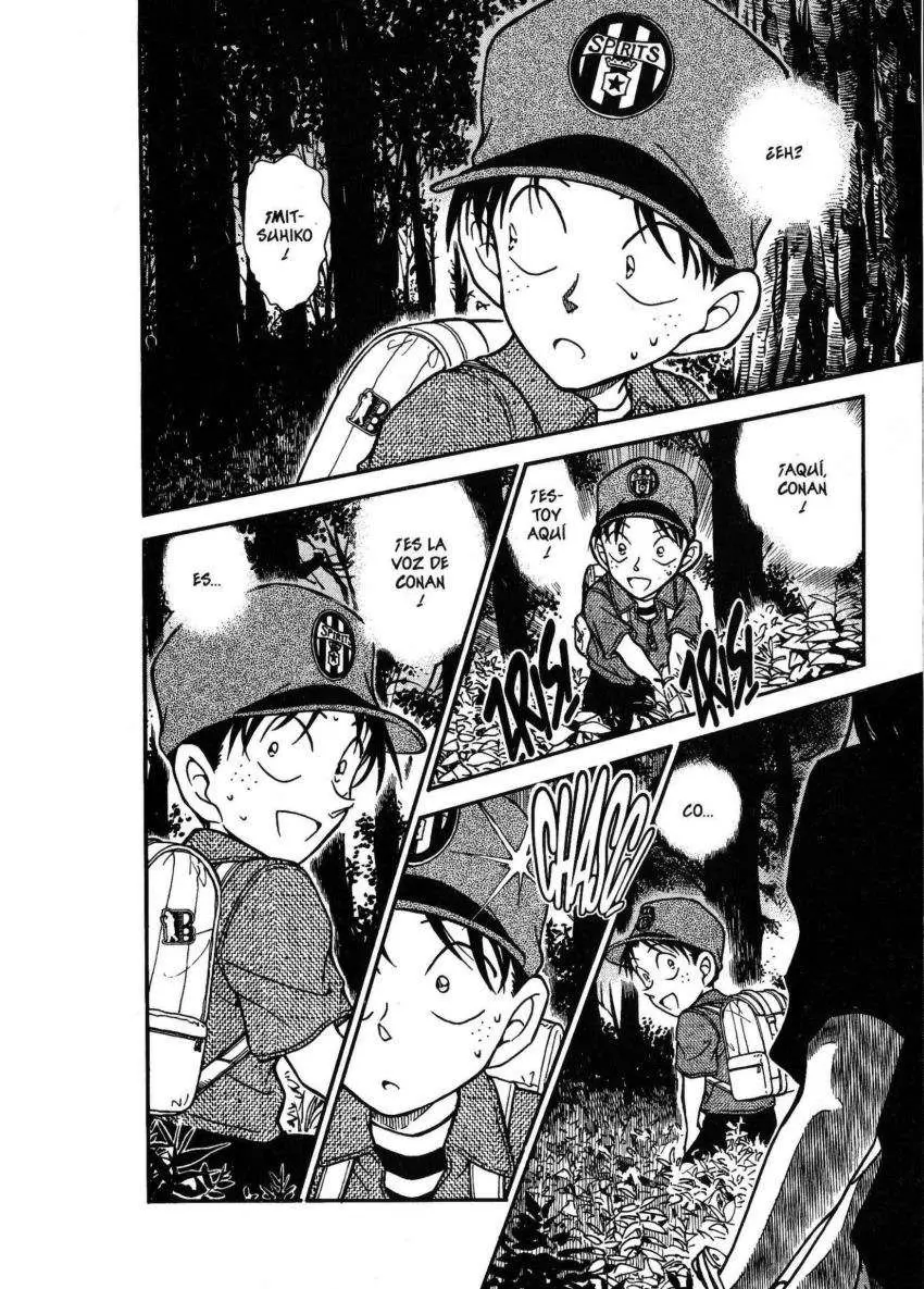 Detective Conan capítulo 359 página 15