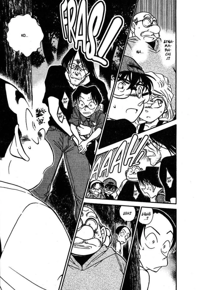 Detective Conan capítulo 360 página 12