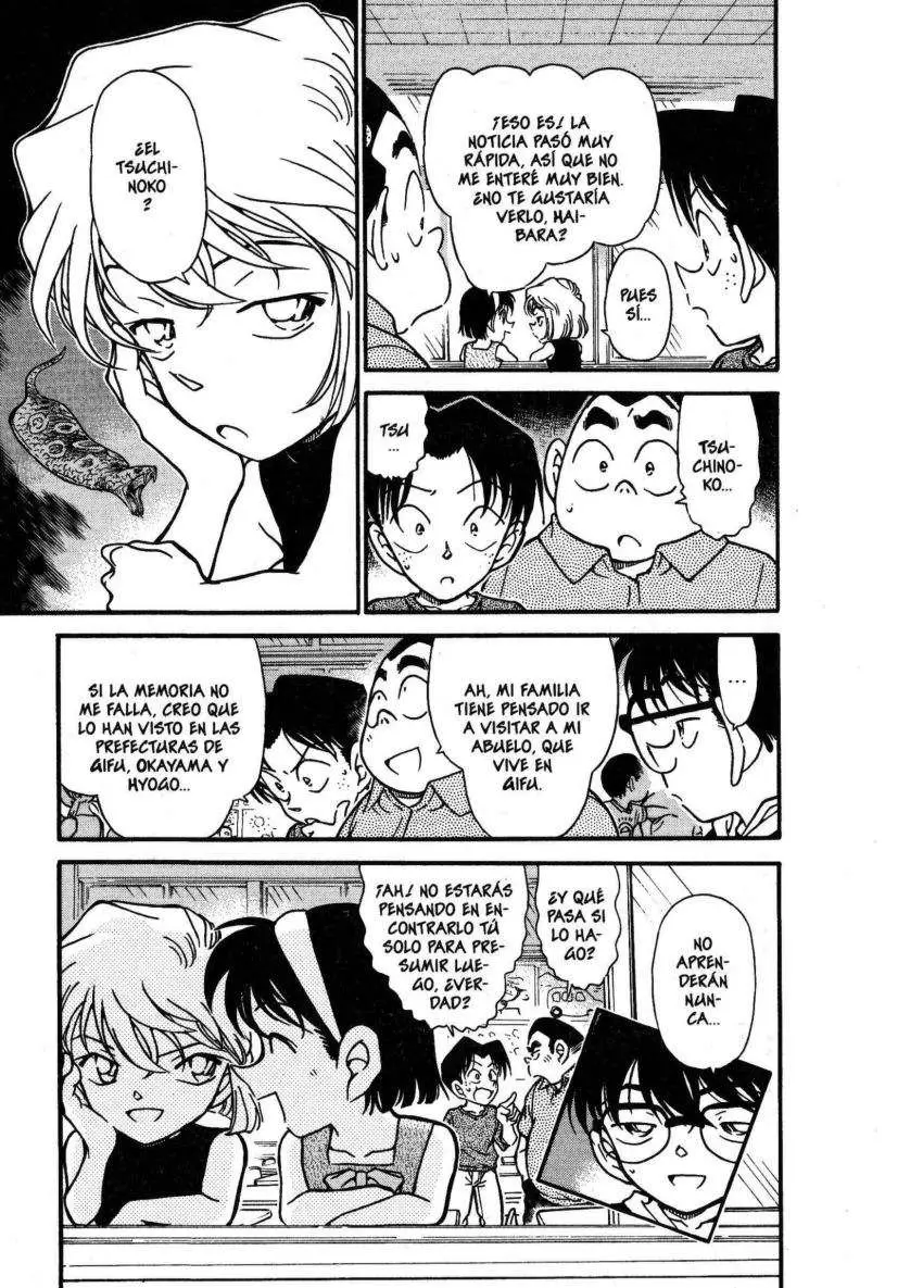 Detective Conan capítulo 360 página 18