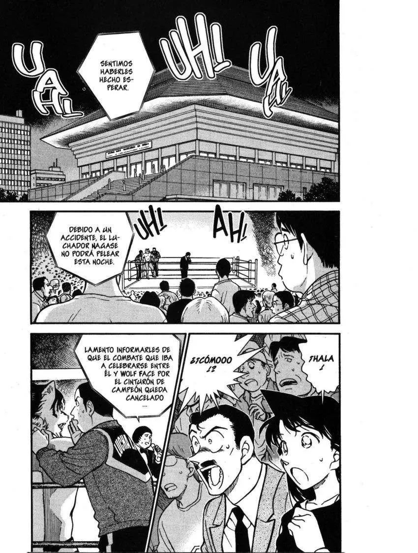 Detective Conan capítulo 388 página 2
