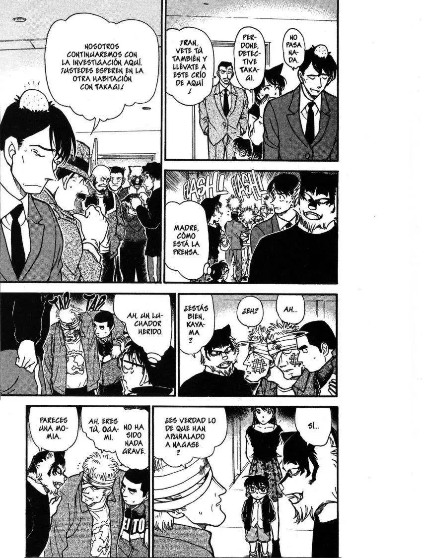 Detective Conan capítulo 388 página 14