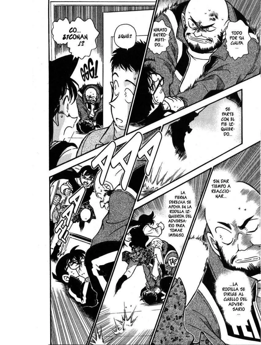 Detective Conan capítulo 389 página 15