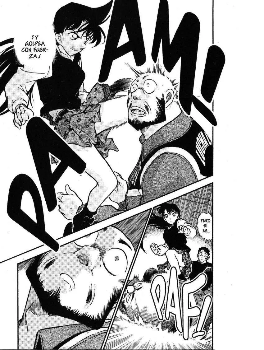 Detective Conan capítulo 389 página 16