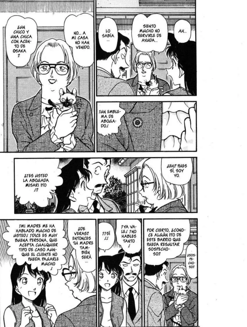 Detective Conan capítulo 390 página 13