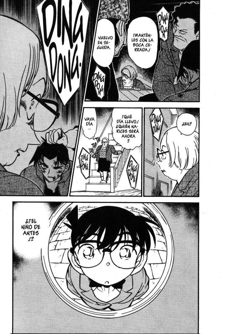 Detective Conan capítulo 390 página 17