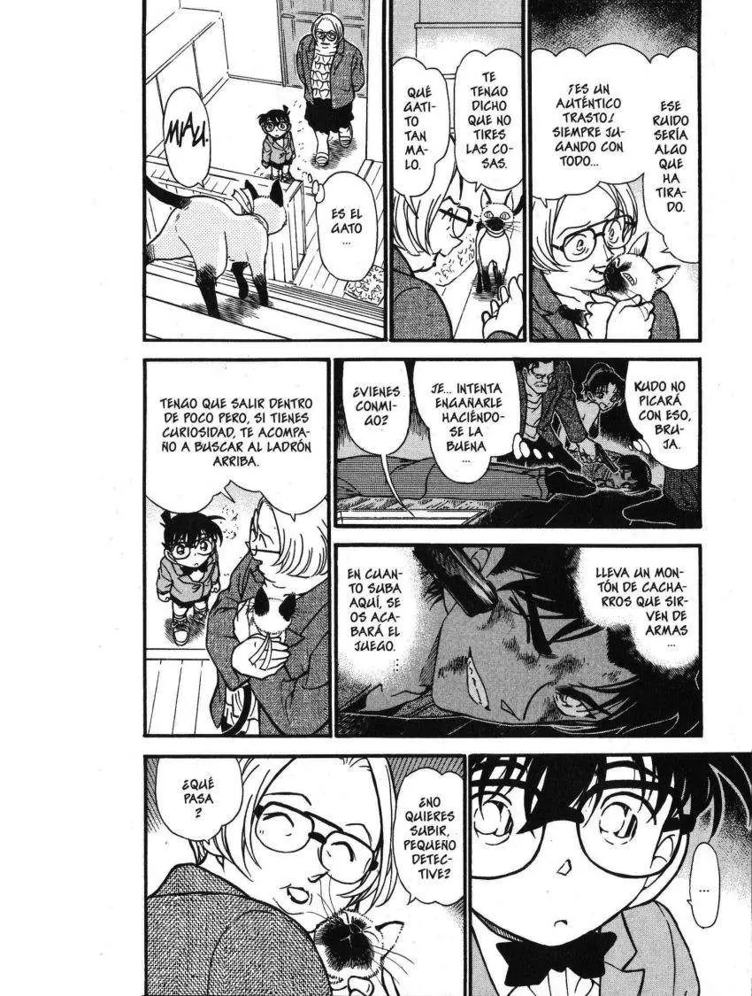 Detective Conan capítulo 391 página 5