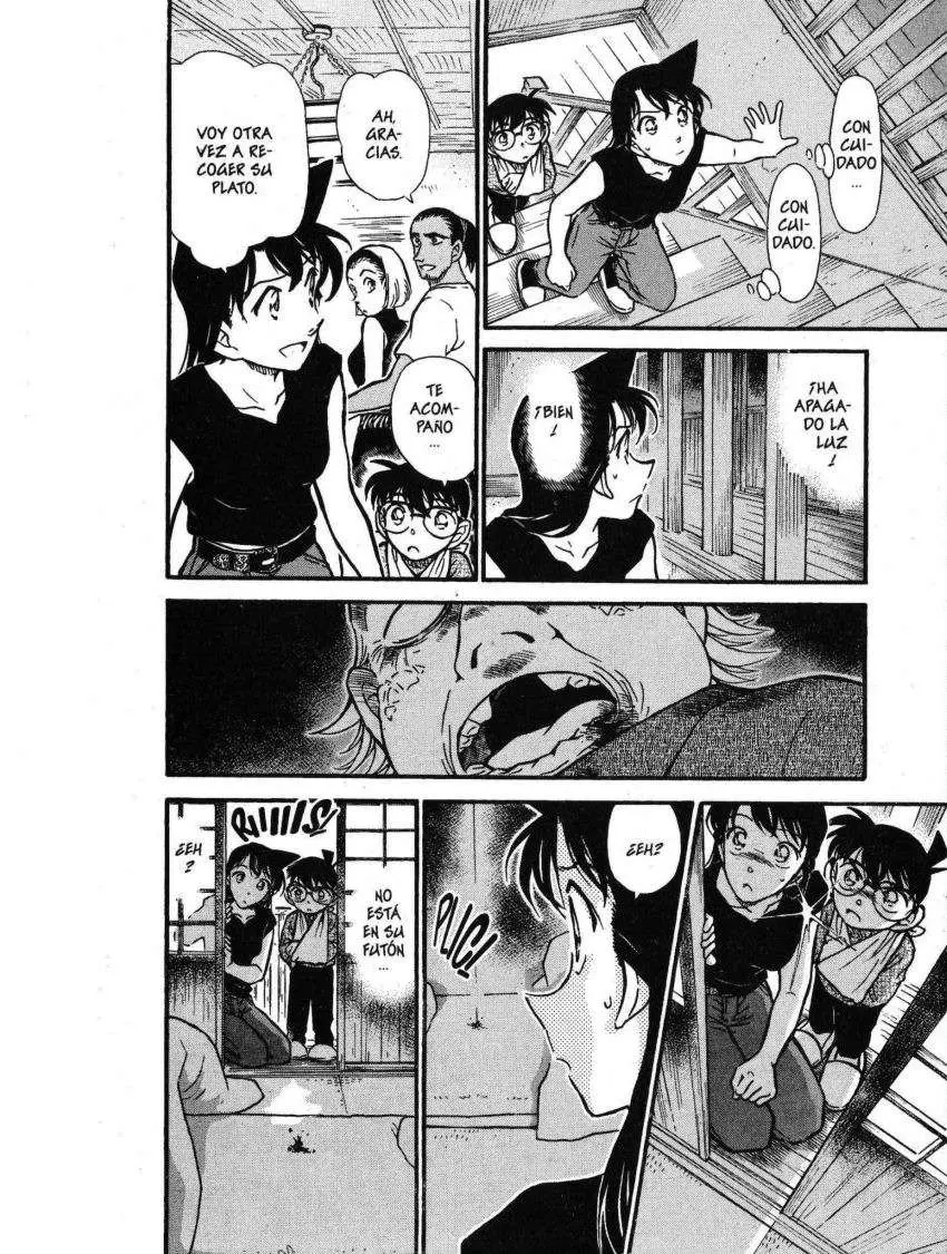 Detective Conan capítulo 407 página 17