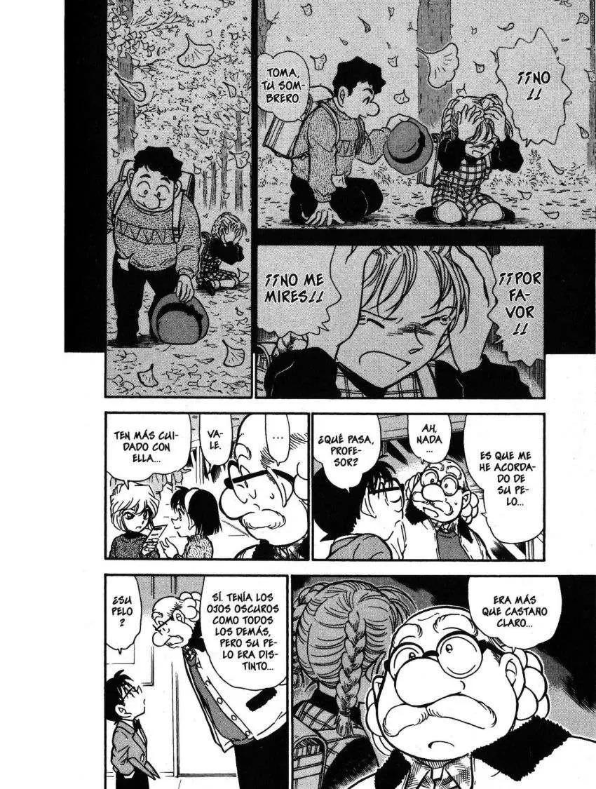 Detective Conan capítulo 411 página 13