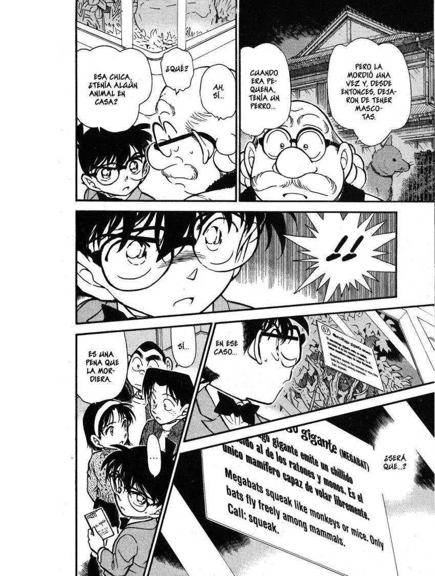 Detective Conan capítulo 411 página 15