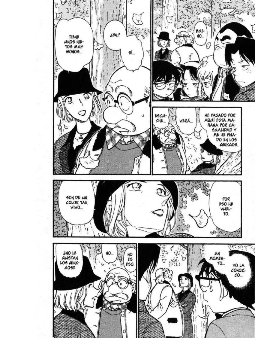 Detective Conan capítulo 412 página 13