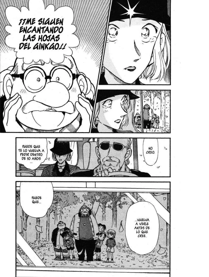 Detective Conan capítulo 412 página 18