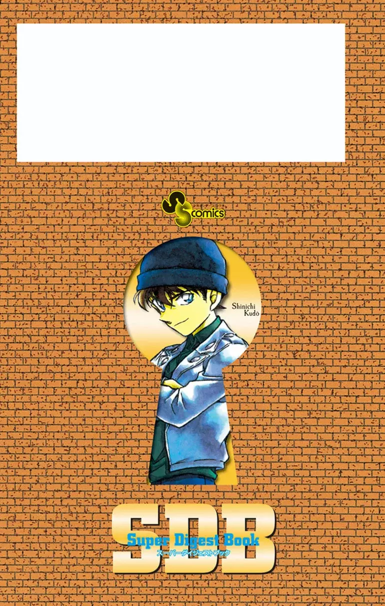 Detective Conan capítulo 413.5 página 9