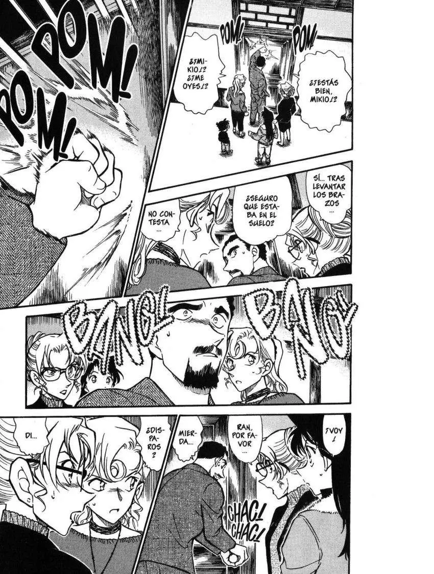 Detective Conan capítulo 414 página 14
