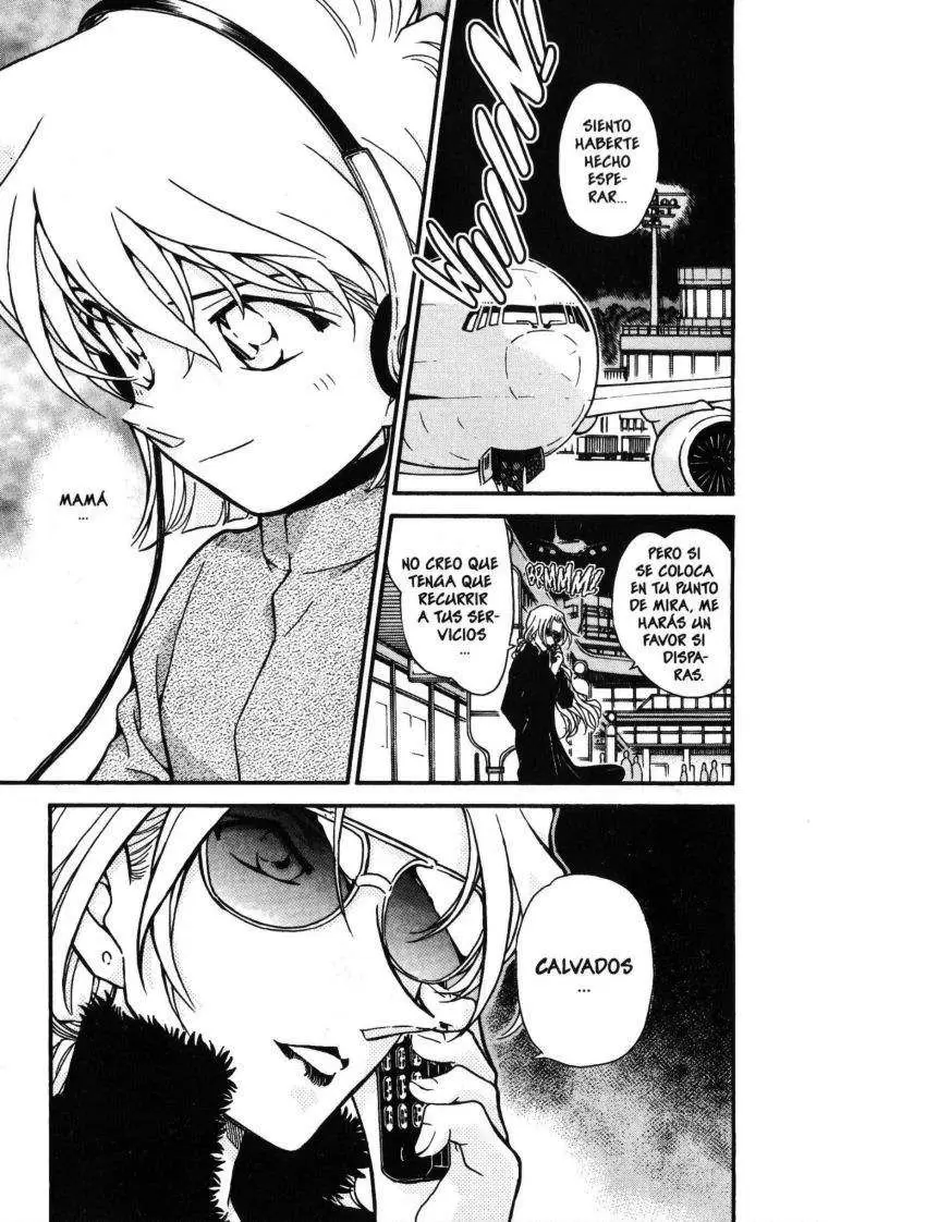 Detective Conan capítulo 425 página 18