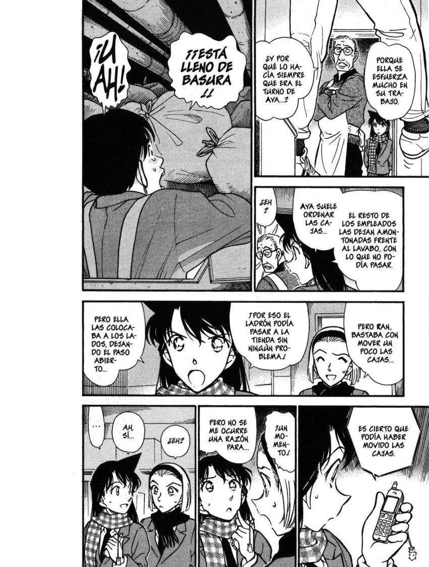 Detective Conan capítulo 428 página 13