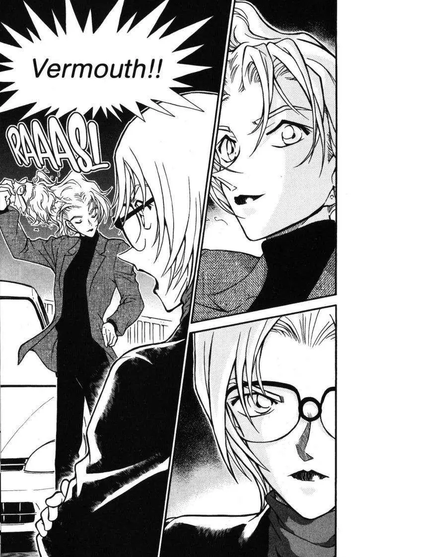 Detective Conan capítulo 432 página 17