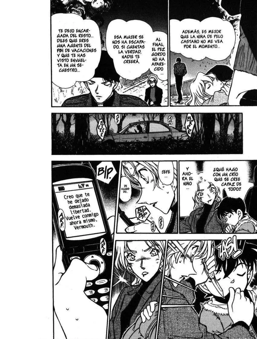 Detective Conan capítulo 434 página 13