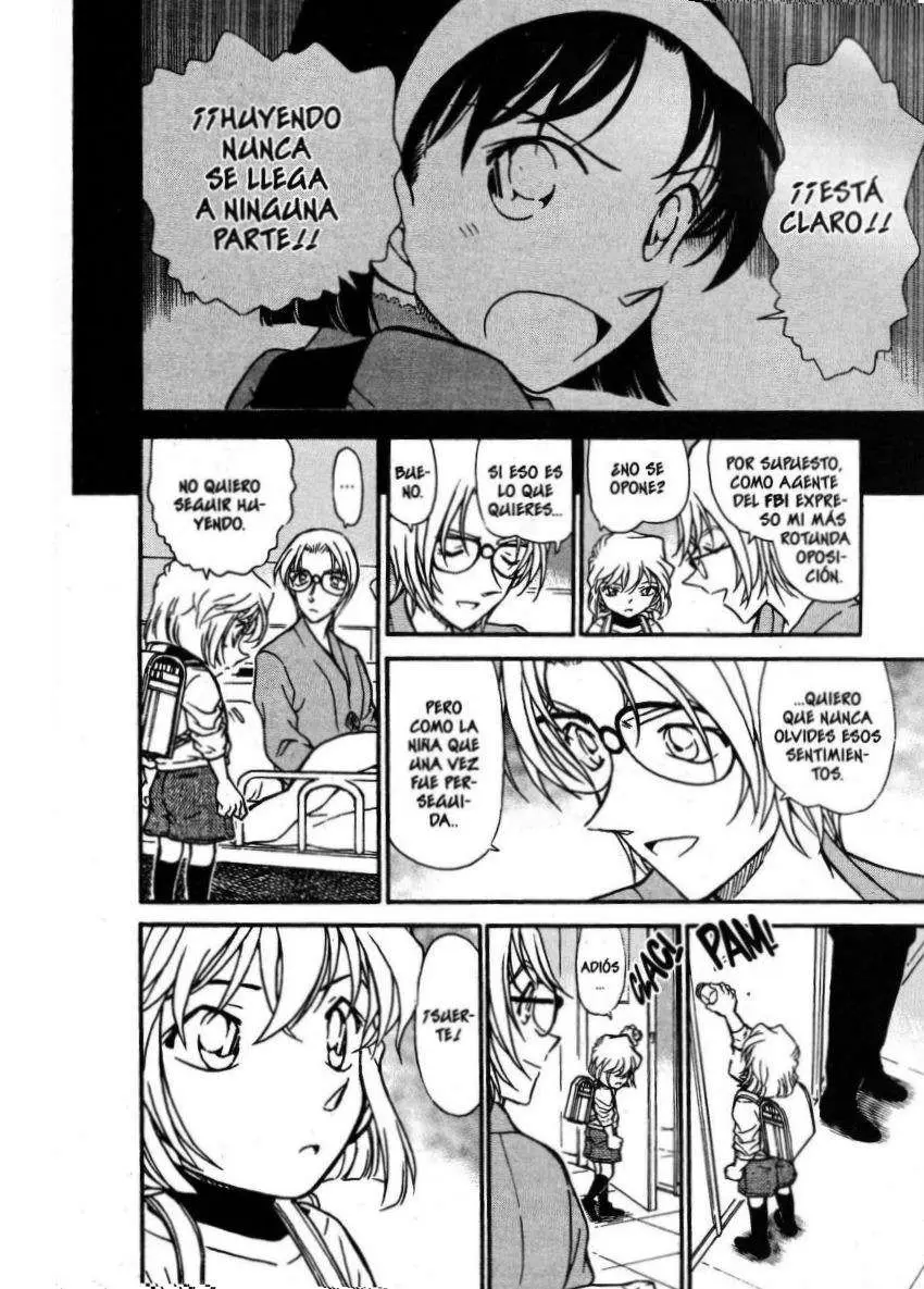 Detective Conan capítulo 437 página 17