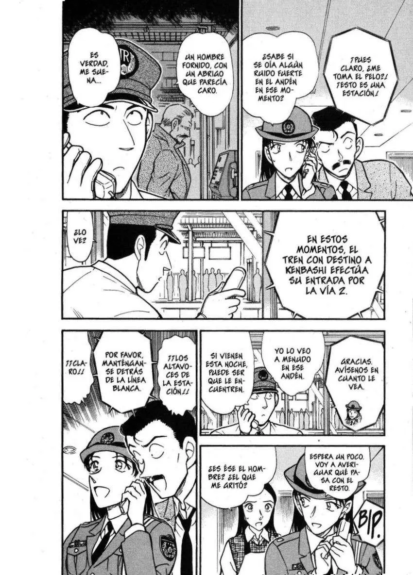 Detective Conan capítulo 439 página 13