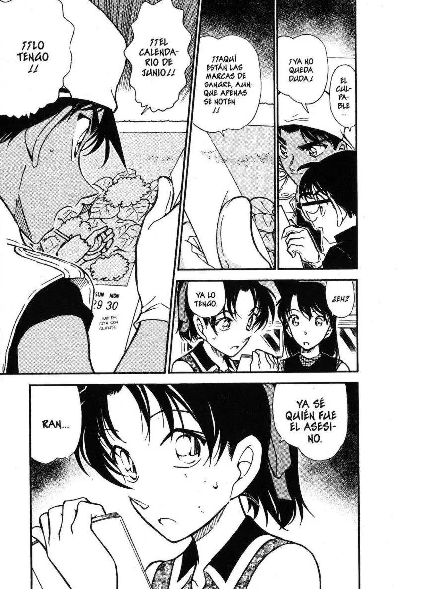 Detective Conan capítulo 443 página 16
