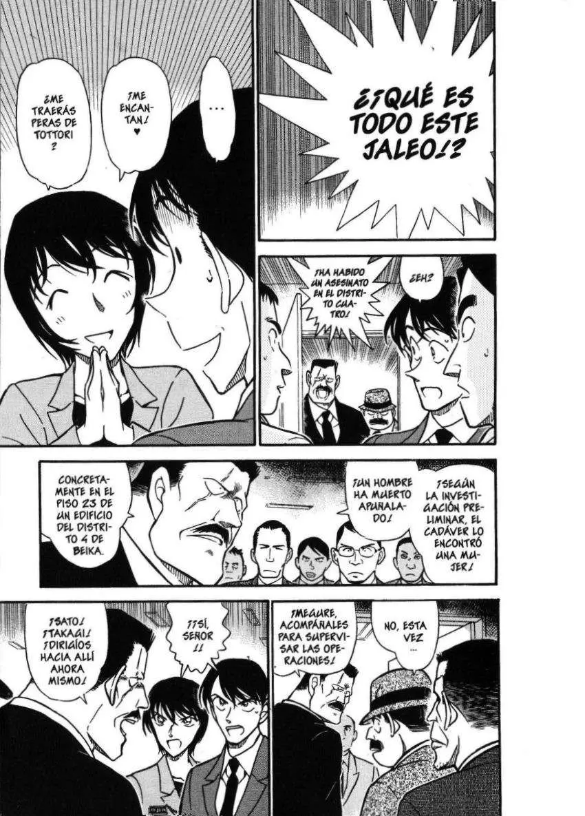 Detective Conan capítulo 450 página 12