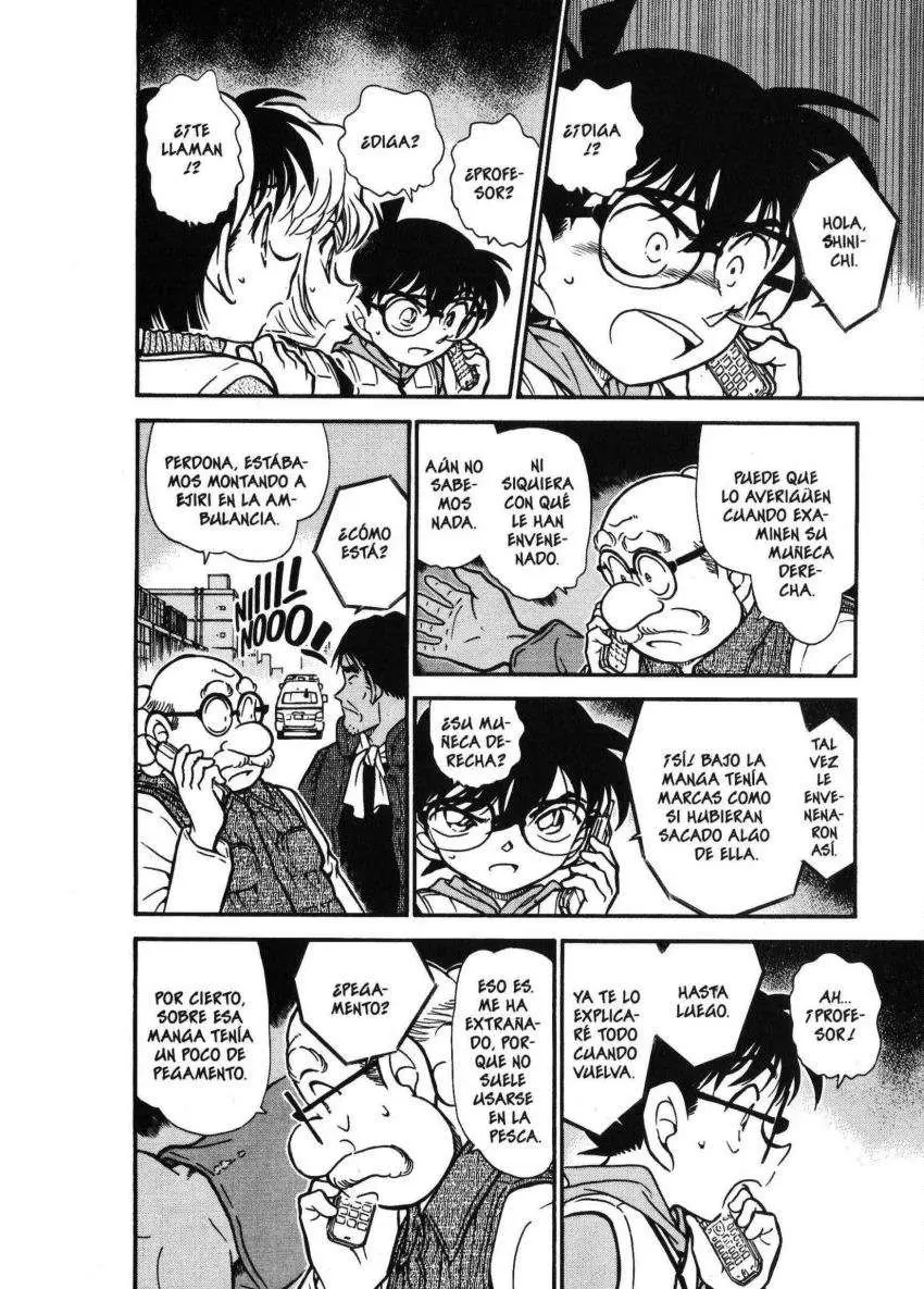 Detective Conan capítulo 461 página 13