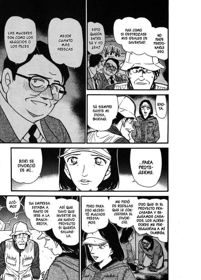 Detective Conan capítulo 462 página 14