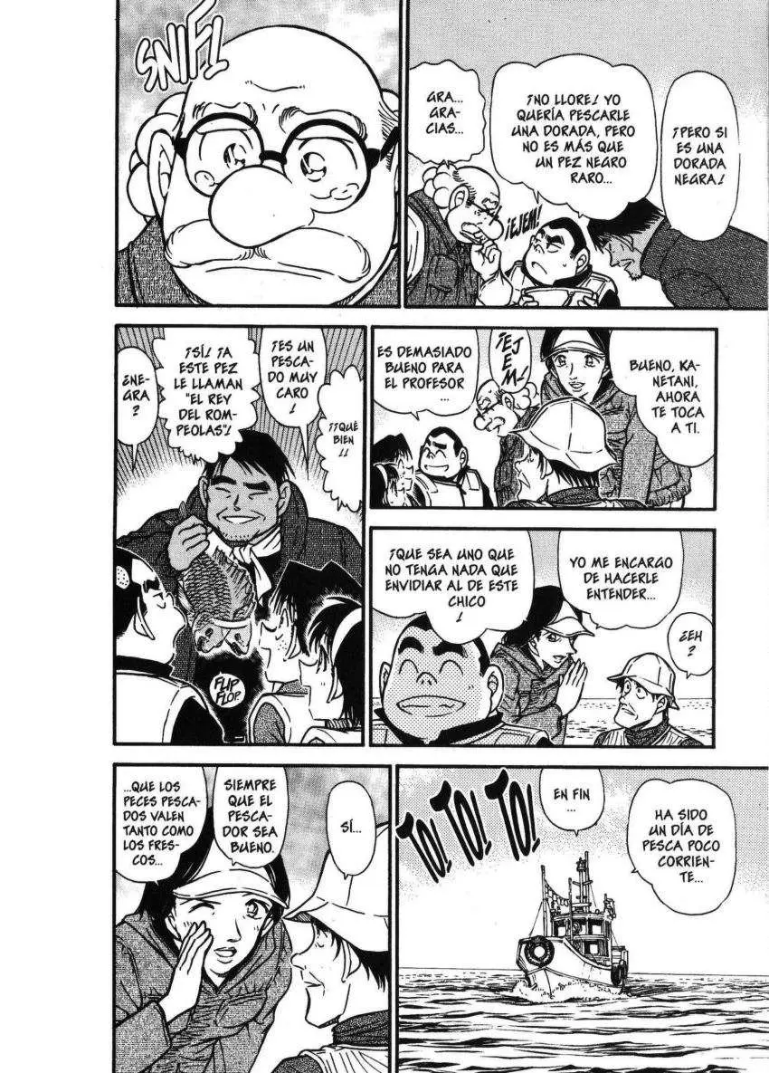 Detective Conan capítulo 462 página 17