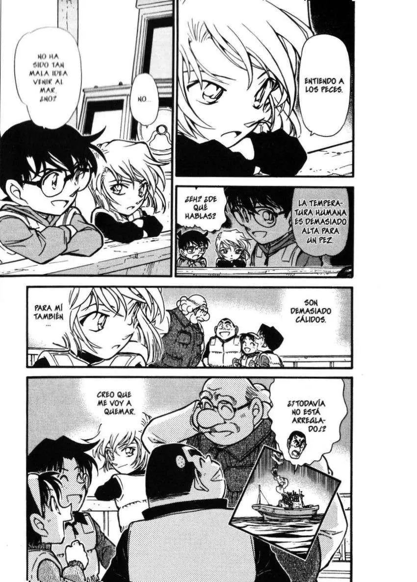 Detective Conan capítulo 462 página 18