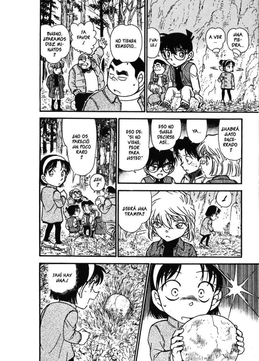 Detective Conan capítulo 466 página 13
