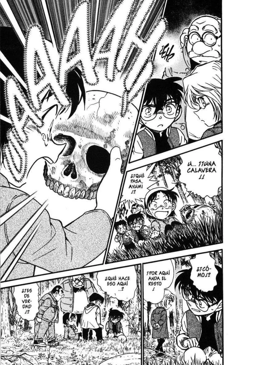 Detective Conan capítulo 466 página 14