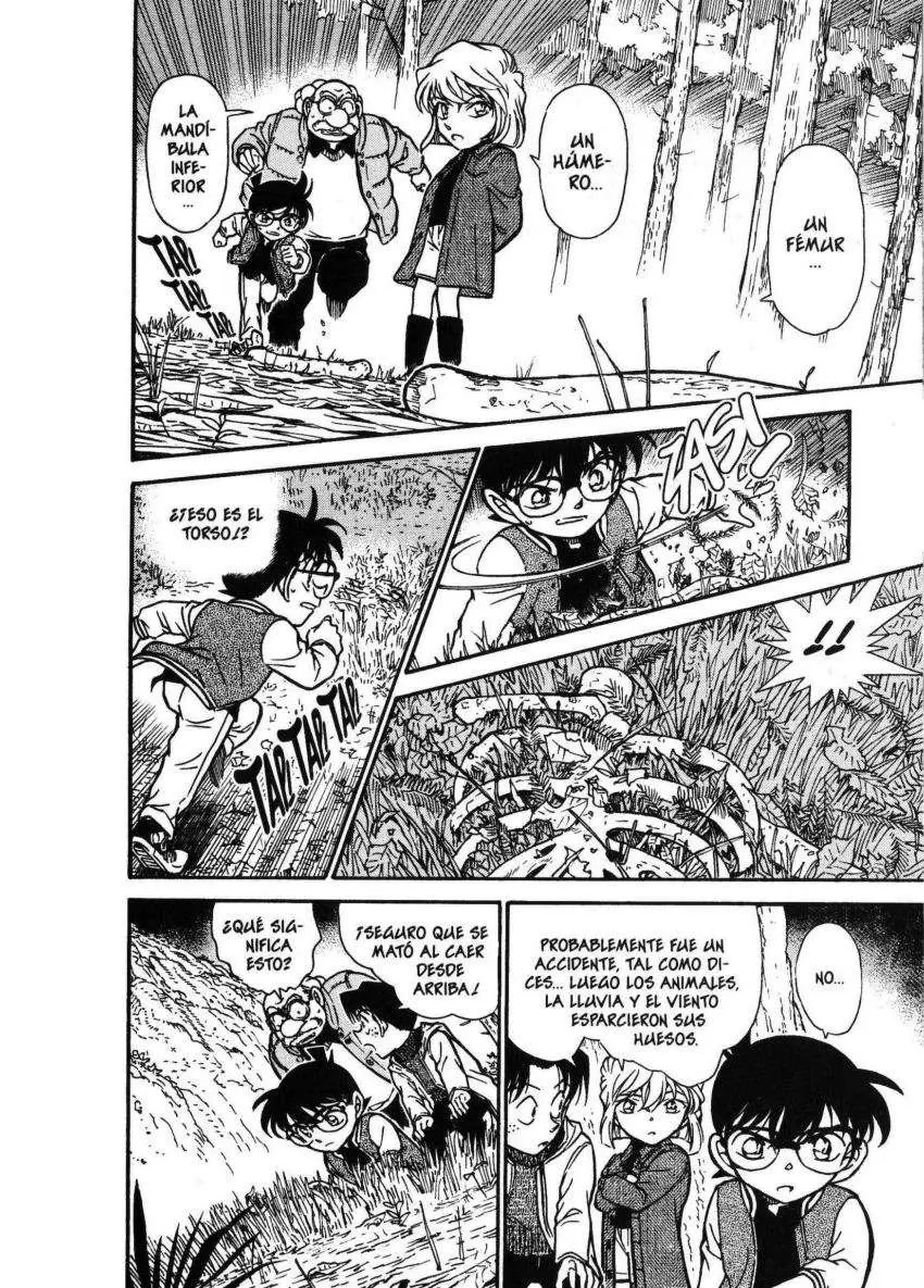 Detective Conan capítulo 466 página 15